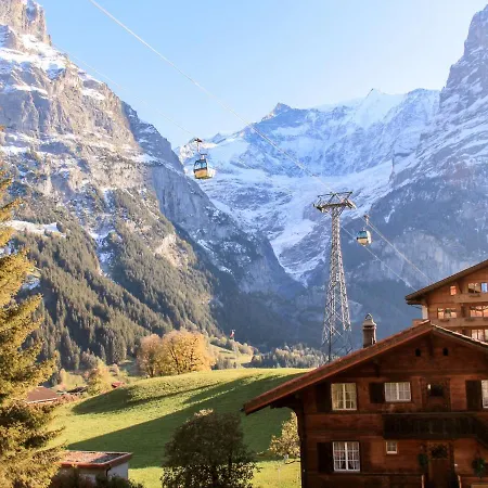 Lägenhet Bodmisunne By Interhome Grindelwald