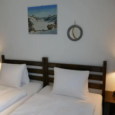 Bodmisunne By Interhome Grindelwald