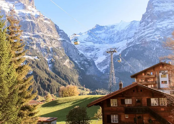 Lägenhet Bodmisunne By Interhome Grindelwald