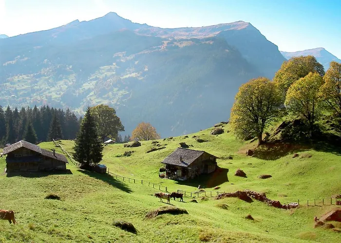 Appartement Bodmisunne By Interhome *