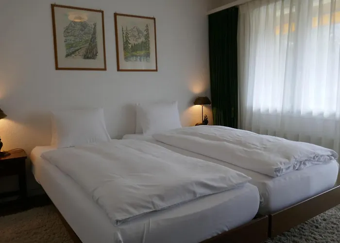 Bodmisunne By Interhome Appartement Grindelwald