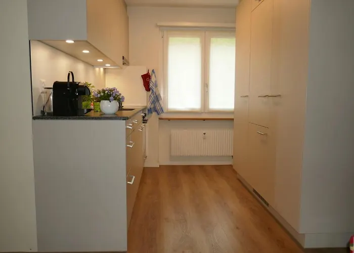 Bodmisunne By Interhome * Grindelwald